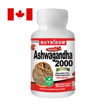 뉴트리돔 아쉬와간다 2000 4배농축 60 분말캡슐 에너지활력 아시와간다 N206, 60정, 500mg, 1개