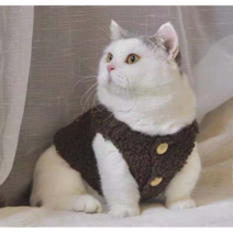 부투펫 고양이김장조끼 강아지 할매 할머니 전용 다이소 옷, 아이보리