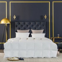 [소프라움] 에스테르 헝가리80 80수 구스다운 사계절 이불솜 퀸 (784g), 화이트/퀸(MDS22FS05D11WHQ)