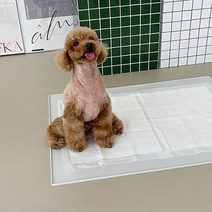 잇치치 강아지 배변 매트 논슬립 실리콘 특대형 81x61cm, 1개, 배변매트 ( light gray )
