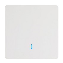 ed 차량용 간판 전광판 무선 RF 433Mhz 스마트 스위치 벽 패널 원격 제어 AC90V ~ 250V LED 조명 램프 팬용, 한개옵션1, 02 1 Gang