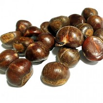 햇약단밤 1KG 칼집O 밤 밤효능 약단밤 밤삶는법 군밤 밤보관법 공주밤 밤삶기 옥광밤 칼집밤 생밤효능