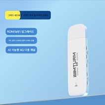포켓 와이파이 에그 LTE 라우터 휴대용 데이터 쉐어링 유심, 10G-월x1개월, A, 1개