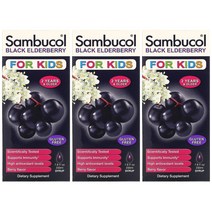 Sambucol 블랙 엘더베리 시럽 For Kids 베리맛 230ml 3팩, 1개, 기본