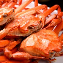 [당일발송] 산지직송 자연산 자숙 포항 구룡포 박달 연지 홍게 대게 게살 3kg 8~11마리, 프리미엄 홍게(살수율 70~80%) 3kg 8~11마리