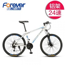 산악 사바파이크 팻바이크 자이언트 giant 펫 mtb 티타늄자전거 스타일 STYLE, 24 단알루미늄와이G, 24인치