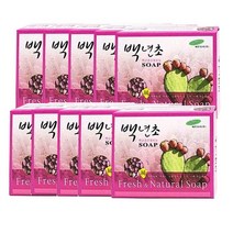 재우 어성초 백년초 미용비누 10개 세수비누 내츄럴 비누, 백년초비누85g x 10