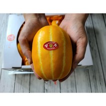 [성주 참외] 산지직송 첫수확 고당도보장 싱싱한 꿀 참외, 가정용 (못난이/흠과), [1.5kg] 소과(5~7과)