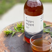 양촌리상회 하동 매실액 1000ml, 2병
