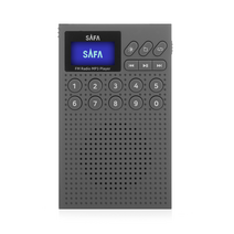고급효도라디오 SAFA 정품음원 명가수 120곡 포함, SR 100, 그레이