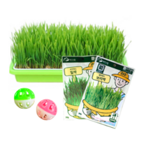 퍼피가드 재배용 고양이 캣그라스 2종 세트, 보리, 밀, 3세트