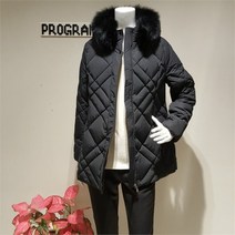 프로그램 NC05 폭스털카라다운 P214D030