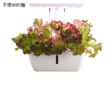 실내 상추 재배 스마트팜 온실 소형 재배기, 옵션3