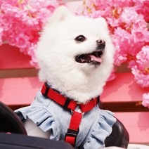 아띠지기 강아지 H형 하네스 가슴줄, 레드 XL