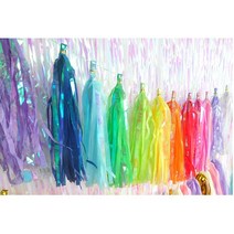 5P 홈파티 반짝이 배경 홀로그램 수술가랜드 성장앨범 태슬장식 브라덜샤워 브샤, 그린