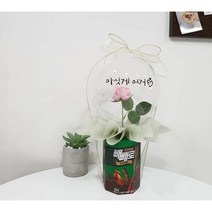 빼빼로데이꽃풍선