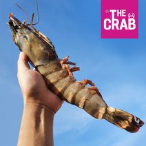 더꽃게 킹 블랙타이거새우 특대 대왕, 1마리, 킹타이거 대 1마리 (150-200g)