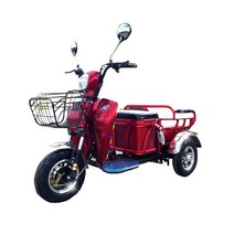 이지모터스 시골스쿠터 삼륜 전동차 오토바이 EG-120