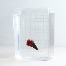 열대어 미니 촬영 수조