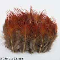 천연 공작 꿩 깃털 작은 닭 거위 플라이 묶는 재료 수공예 액세서리 장식 도매, 11 Size 3-7CM_01 20 Piece