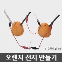 초등학교 과학 실험수업용 오렌지 전지만들기 (오렌지미포함) 과학실 실험실