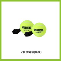 로프 물주입 셀프연습 매직기기 훈련기계 단식 테니스공, T04-2알 끈달린볼(블랙라인)