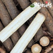 식탐대첩 국내산 햇 생우엉 1kg 상/특품, 단품