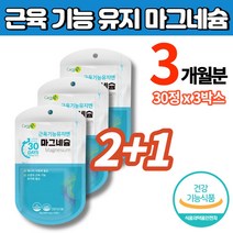 트레이더스 코스트코 퓨어 마그네슘 보충제 마그네슘정 임산부 출산후 수유부 성장기 어린이 청소년, 2+1박스