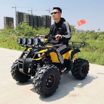 세발 전기자전거 성인 및 아동용 4 륜 125CC ATV 스포티 한 쿼드 바이크 전기 스쿠터 오토바이 아름다운 디자인, [02] Little Bull