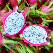 특별한선물 당일발송 프리미엄 용과 실속구성 1kg 내외 (2과) 2.5kg 내외 (5과) 5kg 내외 (10과) 이색선물 열대과일 용과, 10과(5kg내외)