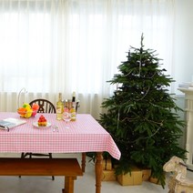 효담상회 방수 체크 식탁보 테이블보 8종 2인 4인 6인용, 2.핑크, 6인(140*220)