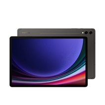 삼성전자 갤럭시탭 S9 플러스, Wi-Fi, 256GB, 그라파이트