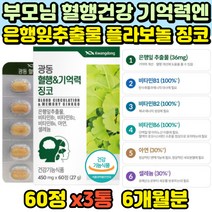 식약처인증 혈액순환 은행잎추출물 영양제 징코 혈행 기억력 개선 도움 플라보놀배당체 혈관 학습 인지 3통 60대 70대 80대 두뇌 뇌 머리 건강 기능식품 비타민B 에너지 생성