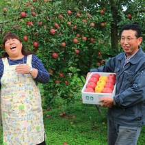 [ 꿈을 뜨는 언니 ] GAP인증 당도보장 정품 문경 꿀부사사과 5kg, 02) 정품문경사과 중과 5kg (21-22과), 1개