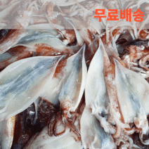 동광수산 국내산 냉동 손질 오징어, 1kg