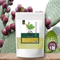 국내산 토종 선인장 천년초 줄기 분말 가루 500g 먹는법