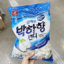 초이스엘 상쾌한박하맛 캔디 1kg x 2개