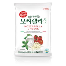 (서울우유) 솔솔 뿌려먹는 모짜렐라치즈 100g