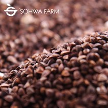 2022년 국산 볶은 통메밀 500g 메밀 차, 1개