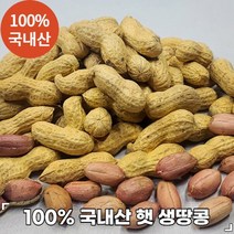 아이너츠 100% 국내산 햇 생땅콩, 500g