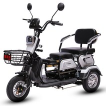 세발오토바이 3발 삼륜전동 스쿠터 전기오토바이, 600W 모터 48V13a배터리 20km60V