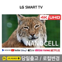 LG 75인치 4K UHD 나노셀 스마트 TV 21년형 75NANO91 리퍼, 0. 매장방문수령