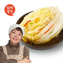 김하진열무물김치5kg 저렴한 상품 추천
