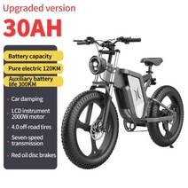 실내자전거 스피닝자전거 홈 피트니스 X20 오프로드 전기 자전거 48V 2000W 30A, 2000W-30AH+Two Kinds of Wheels