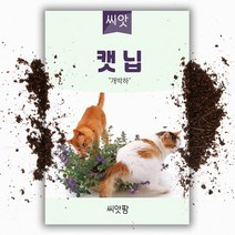 캣닙 개박하 씨앗 캣닢씨앗 (800립) /허브/박하, 단품