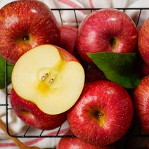 산지직송 첫출하 새콤달콤 빨간 햇사과 랜덤과 행사용 가정용, 1개, 2kg