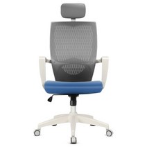 DSP 온리체어 씽크체어 S 학생의자/사무용의자/컴퓨터의자/책상의자/독서실의자, 블루