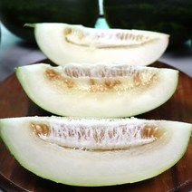 파파야 메론 5kg 2kg 3kg 멜론 고령파파야메론, 고당도 파파야메론 5kg