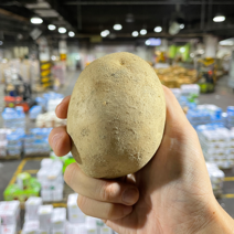 경매직송 감자, 5kg, 알뜰형, 120-180g(특)