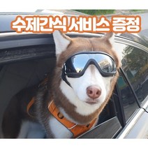 강아지 선글라스 애견 고글 도글라스 멍글라스 개글라스 소형견 중형견 대형견 반려견 UV차단 안경, 소형견용, 블루